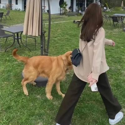 经典热门